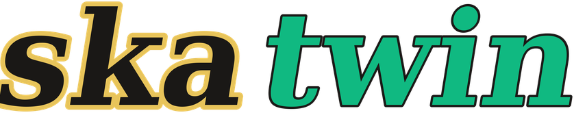 skatwin logo